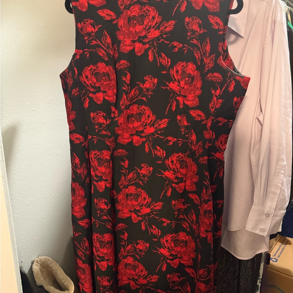 EUC Eva Mendes Red Floral Dress